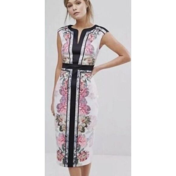 Ted Baker London Shawnee Painted Posie Dress NWT Sz. 4 (US L/10) - Picture 1 of 8
